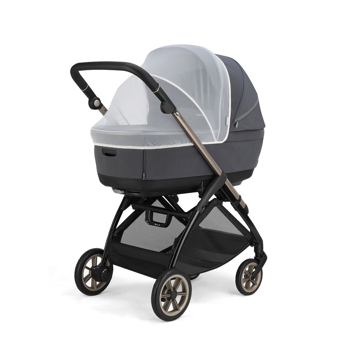 ELECTA CULLA ZANZA (Copiar)