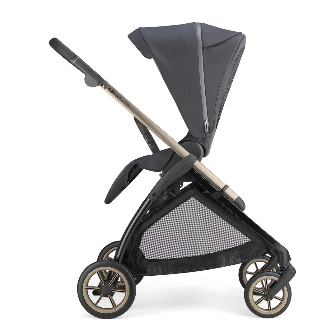 ELECTA PASSEGGINO FRONTE GENITORE (Copiar)