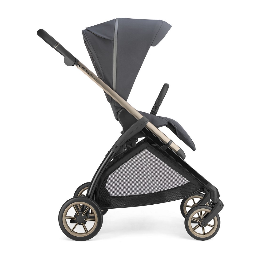 ELECTA PASSEGGINO LATERALE (Copiar)