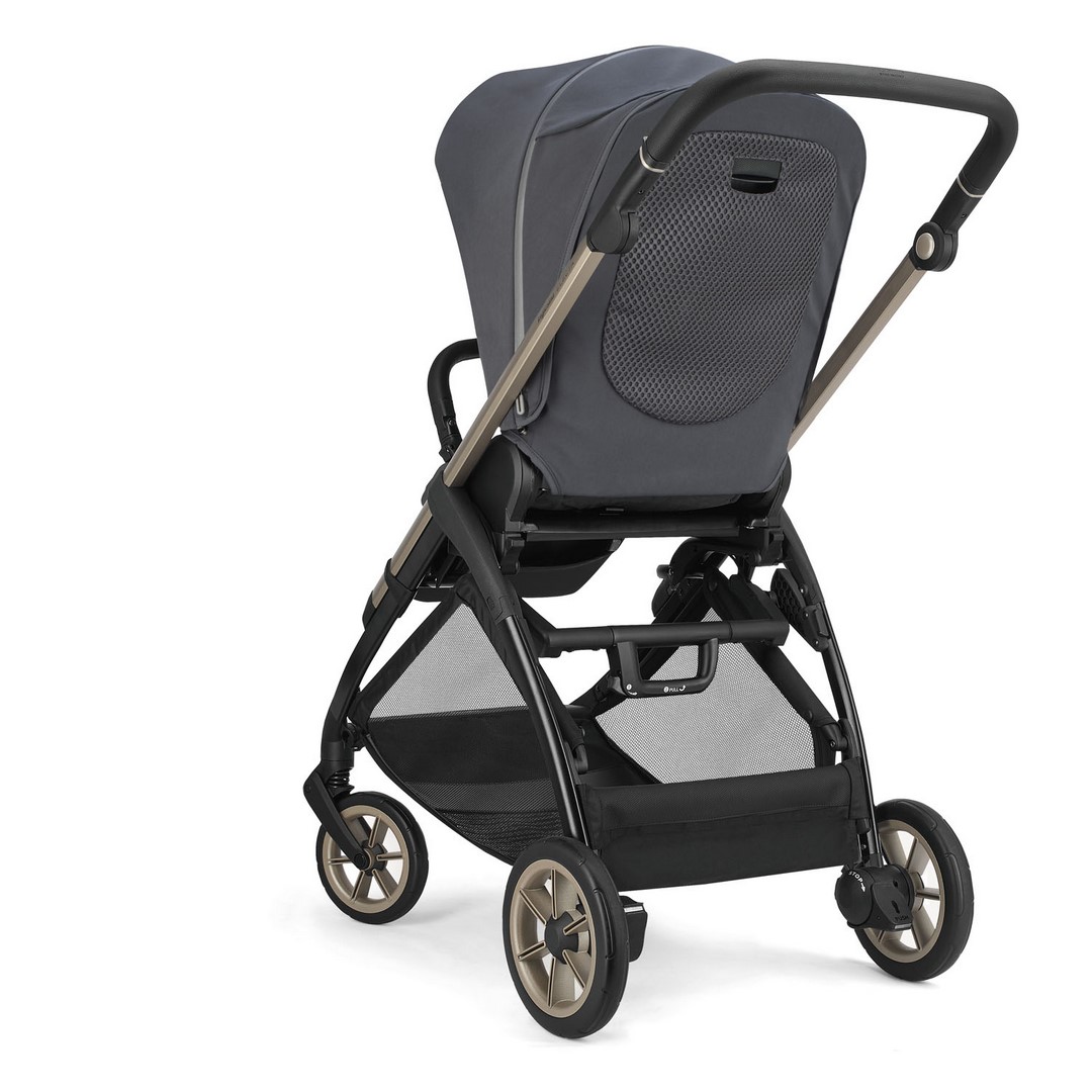 ELECTA PASSEGGINO RETE (Copiar)