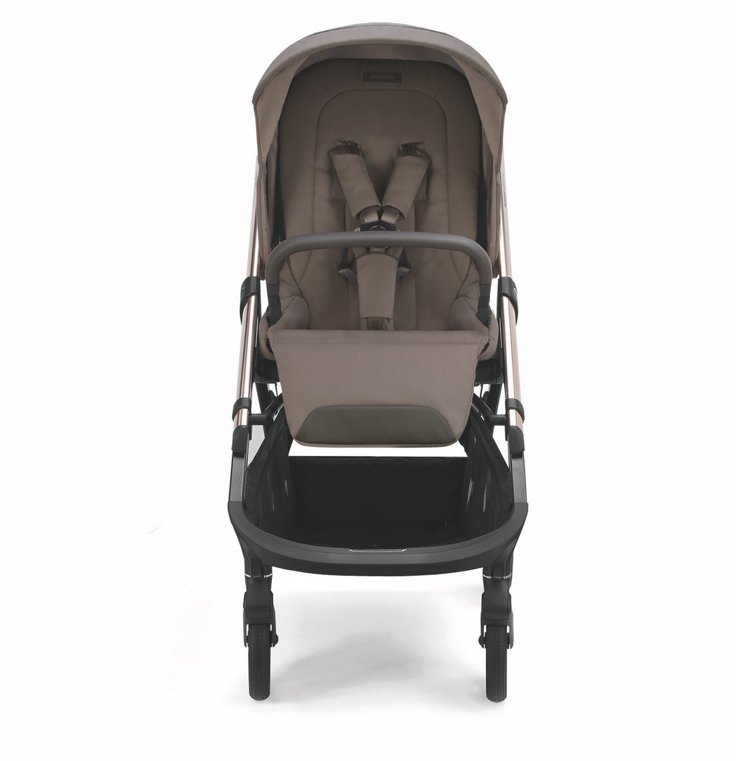 APTICA PASSEGGINO FRONTALE (Copiar)