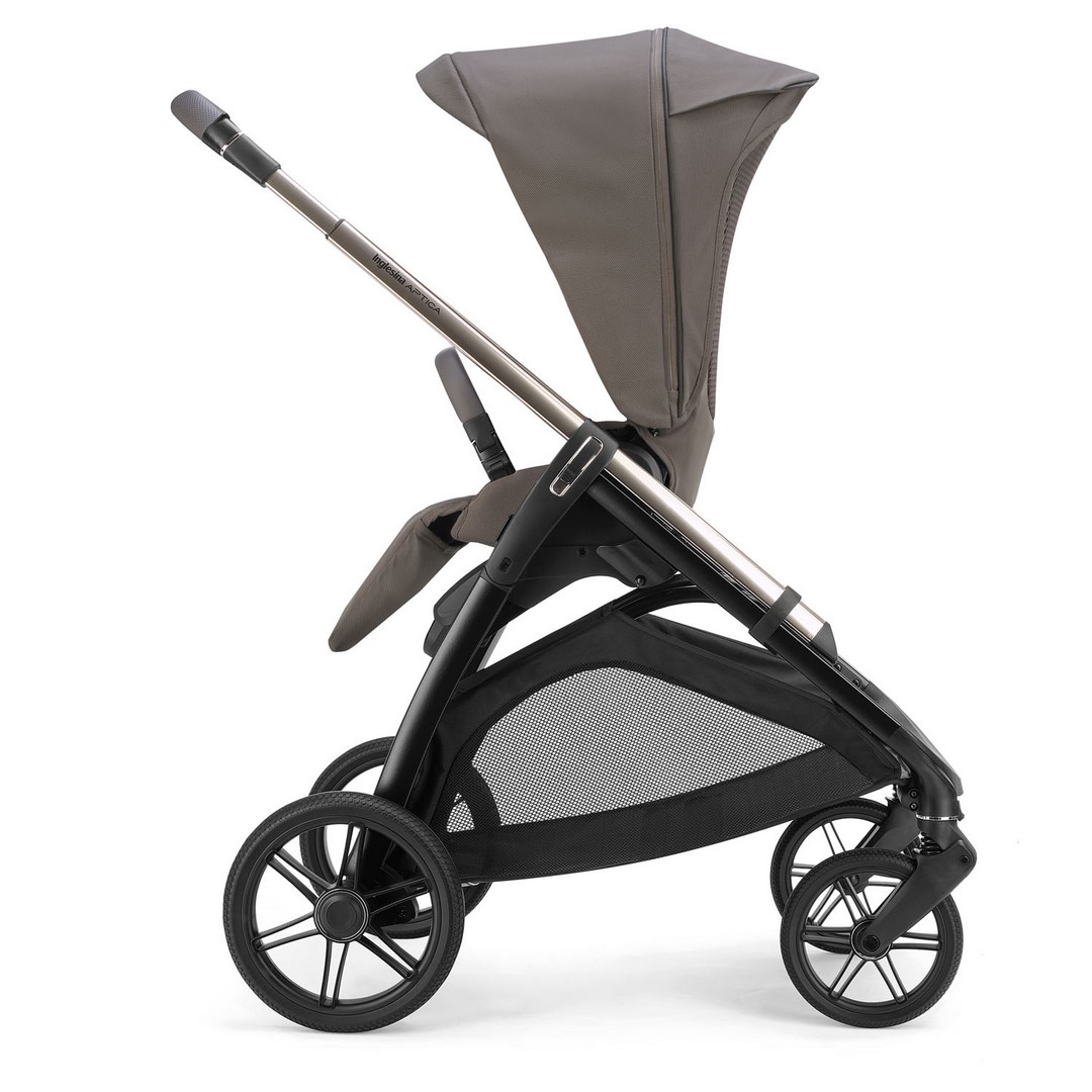 APTICA PASSEGGINO FRONTE GENITORE (Copiar)