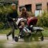 silla paseo kinderkraft grande 2